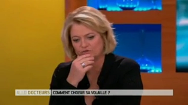 Faut-il éviter les volailles des Landes en raison de l'épidémie de grippe aviaire ?