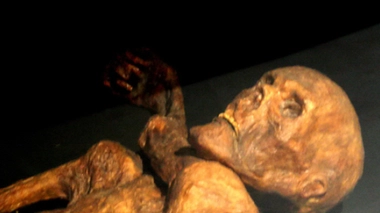 La momie Ötzi au musée de la Préhistoire de Quinson, Alpes de Hautes Provences. (cc-by-sa 120)
