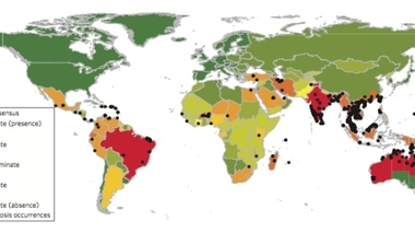 Carte des cas de la mélioïdose de 1910 à 2014 ©NatureMicrobiology