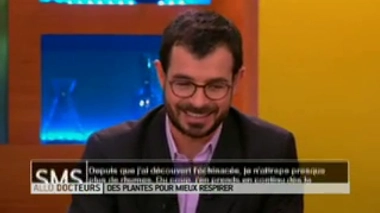 Des plantes pour mieux respirer : peut-on prendre de l'échinacée en continu ?