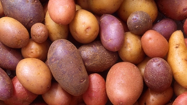 Des pommes de terre. (Crédits : Scott Bauer)