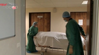 Que signifie le terme de "mort cérébrale" ?