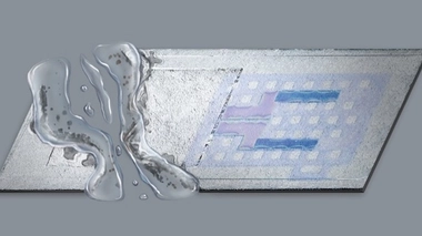 Crédits : J. Rogers.