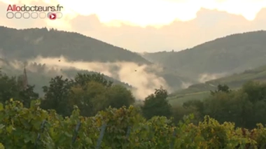 Burn out : un stage pour se reconstruire