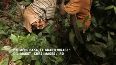 Notre environnement module l'expression de gènes de l'immunité. Vidéo : reportage diffusé le 9 février 2016 dans Le Magazine de la santé.