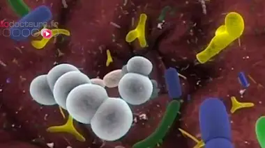 Agir sur la flore intestinale pour combattre la malnutrition