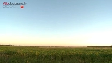 Glyphosate : est-il dangereux ?