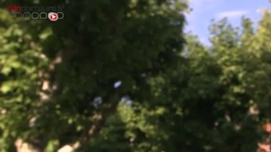 Hiver doux : les allergies sont déjà de retour !