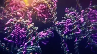 Le comportement de l'ADN modélisé avec une précision encore inégalée