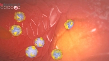 Cholestérol et risques cardiovasculaires : un nouveau pavé dans la mare ?