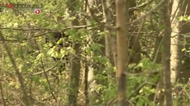 Hépatite C : un nouveau test de dépistage rapide bientôt disponible