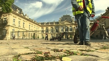 Glyphosate : l’étude indépendante qui bouscule les idées reçues ?