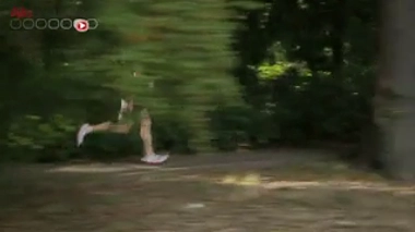 Sport de haut niveau et longévité vont-ils de pair ?