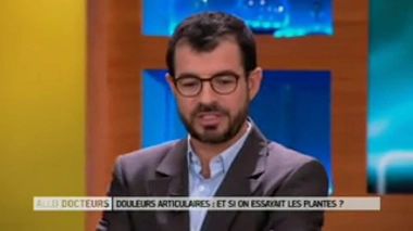 Comment utiliser les feuilles de cassis pour soulager les douleurs articulaires ?