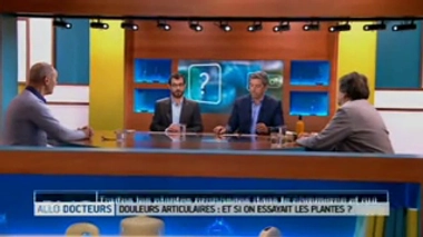 Douleurs articulaires : les plantes proposées dans le commerce sont-elles efficaces ?