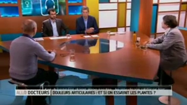 La menthe est-elle intéressante en cas de douleur articulaire ?