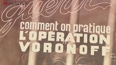 Greffe de testicules de singe : la cure de jouvence du Dr Voronoff