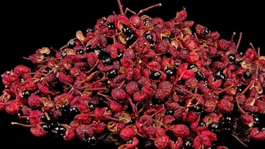 À la découverte du poivre de Sichuan : une baie aux pouvoirs anesthésiants