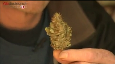 Les Français grands consommateurs de drogue