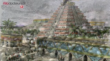 Chia, konjac... : de nouveaux aliments arrivent dans nos assiettes