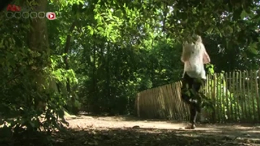 Don d'ovocytes : le parcours d'une donneuse sans enfant