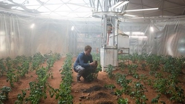 Dans le film "Seul sur Mars", Mark Watney (Matt Damon) cultivait des pommes de terre dans sa base... mais celles-ci étaient-elles propres à la consommation ? (crédits : Twentieth Century Fox)