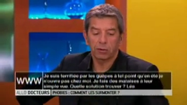 Comment vaincre sa phobie des guêpes ?