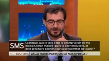 La mauve est-elle un allié minceur ?