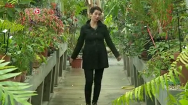 Accidents de jardinage : prévenir plutôt que guérir