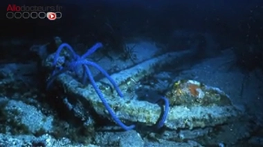 Quand la peste faisait des ravages à Marseille