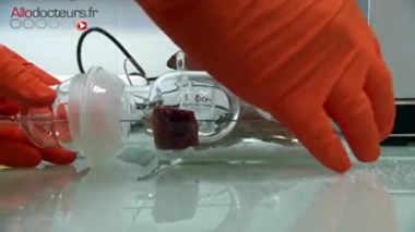 Plancha et barbecue : des composés toxiques générés par la cuisson