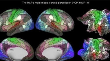 Cartographie du cerveau ©Nature
