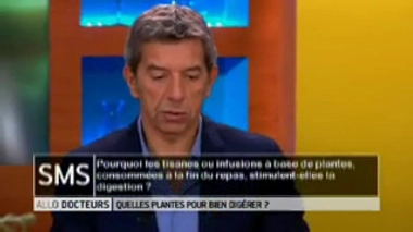 Quelles plantes choisir pour stimuler la digestion à la fin du repas ?