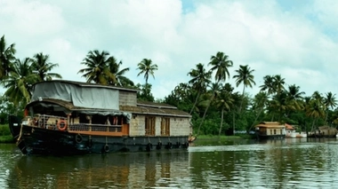 Une substance prometteuse contre trois maladies tropicales