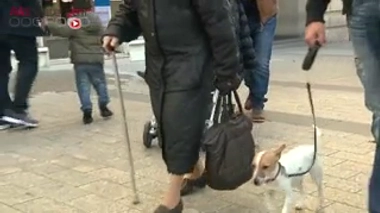 Alzheimer : un espoir de traitement ? - Reportage du 1er septembre diffusé dans "Le magazine de la santé"