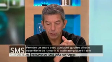 Faut-il préférer la rhodiola au millepertuis en cas de déprime ?