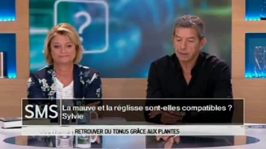 Plantes toniques : la mauve et la réglisse sont-elles compatibles ?