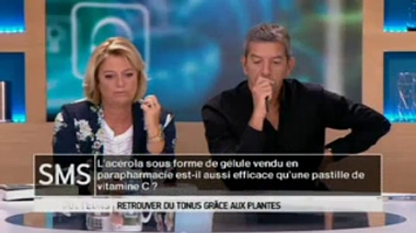 Plantes toniques : que penser de l'acérola ?