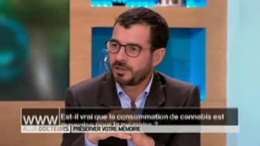 La consommation de cannabis est-elle mauvaise pour la mémoire ?
