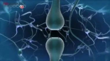 Photo credit : Steve Rhodes via VisualHunt.com / CC BY-NC-SA