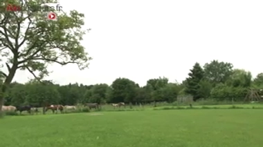 Les familles d'accueil sont une solution plus chaleureuse et souvent moins onéreuse que les maisons de retraite.