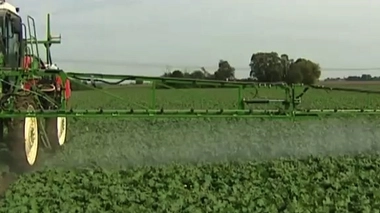 Pesticides dans l'alimentation : bientôt une dose maximale journalière ?