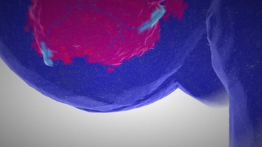 Capture d'écran du jeu "Apoptosis"