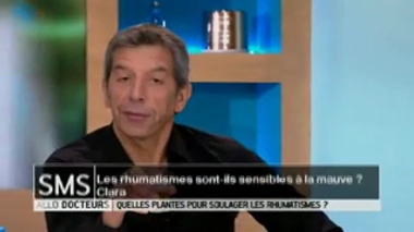 Rhumatismes : existe-t-il des contre-indications à l'utilisation des plantes ?