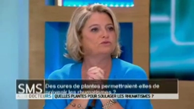 Le cassis et le saule blanc sont-ils efficaces contre les rhumatismes ?