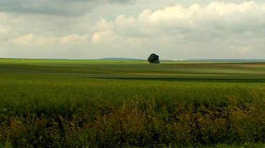 Déserts médicaux : les députés rejettent l'amendement controversé