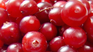 Une vertu légendaire... jamais démontrée. (cc-by-sa Mariluna)