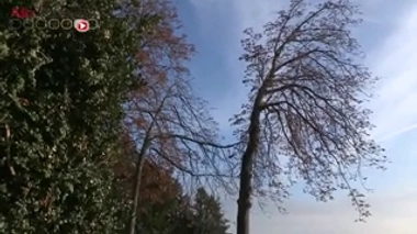 Rescapés des attentats du 13 novembre, ils témoignent