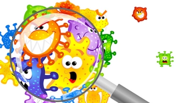 Des chercheurs traquent les bactéries dans les toilettes d'aéroports - 