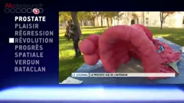 Zapping du 18 novembre 2016